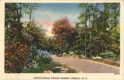 Greetings From Sandy Creek Postcard