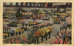 Gorgeous Hues Of The Flower Show Delight The Eye Scenic, NY Postcard Postcard