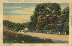 Greetings From Staatsburg New York Postcard Postcard
