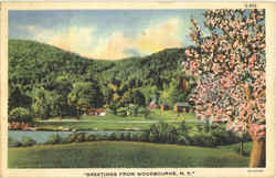 Greetings From Woodbourne Postcard