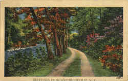 Greetings From Westbrookville Postcard