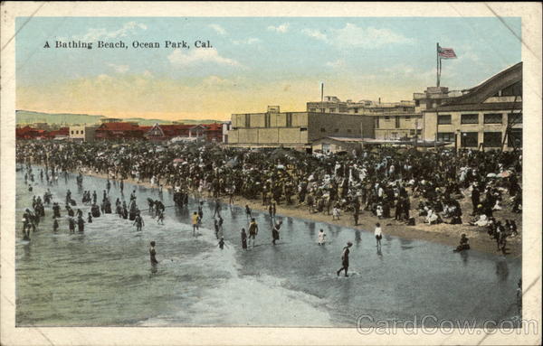 A Bathing Beach Ocean Park California