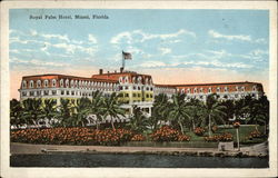 Royal Palm Hotel Postcard