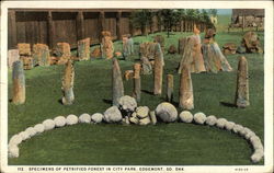 Specimens of Petrified Forest in City Park Edgemont, SD Petrified Forest National Park Postcard Postcard