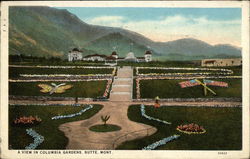 A View in Columbia Gardens Butte, MT Postcard Postcard