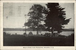Mayo's Point, Lake Waukewan Postcard