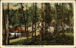 Cottages at Hisega, Rapid Canyon Black Hills, SD Postcard Postcard