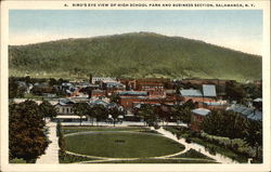 High School, Park and Business Section Salamanca, NY Postcard Postcard