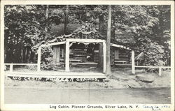 Log Cabin, Pioneer Grounds Silver Lake, NY Postcard Postcard