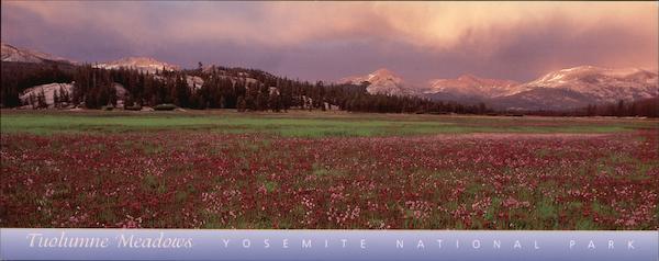 Tuolumne Meadows Yosemite National Park
