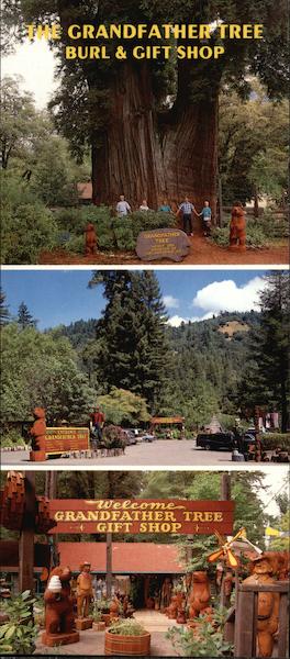 The Grandfather Tree Burl & Gift Shop Piercy California