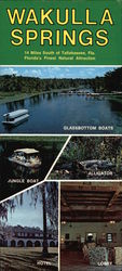 Wakulla Springs and Lodge Large Format Postcard