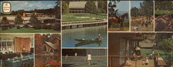 Holiday Inn of Callaway Gardens Pine Mountain, GA Large Format Postcard Large Format Postcard