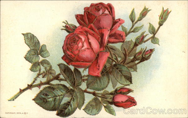 Red Roses and Thorns Flowers