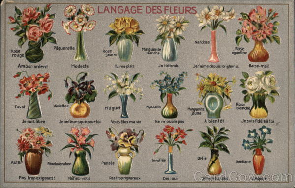 Language of Flowers