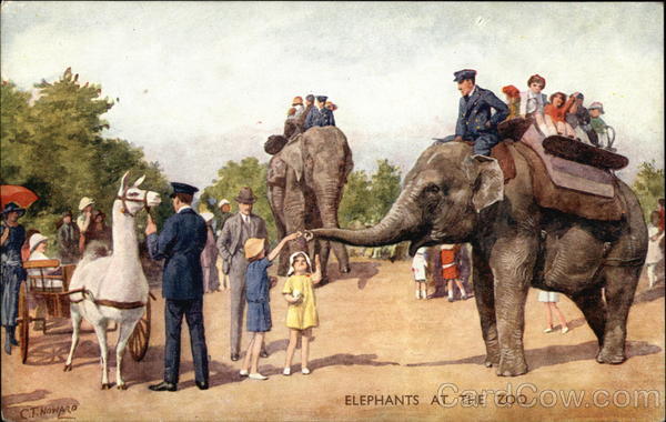 Elephants at the Zoo