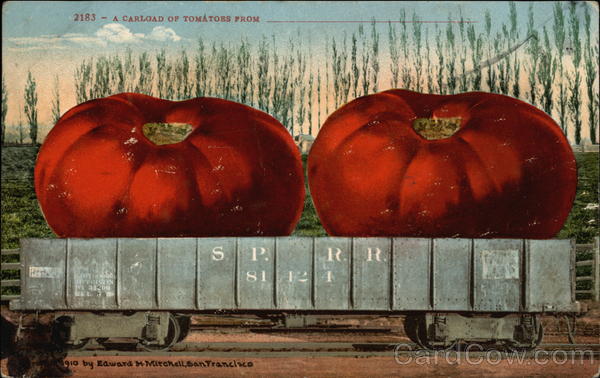 A Carload of Tomatoes From Exaggeration