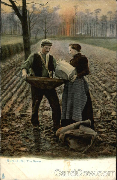 Rural Life The Sower Farming