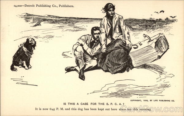 Is This a Case for the S.P.C.A.? Couples