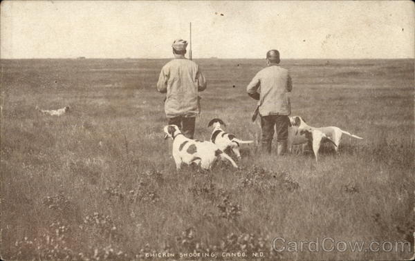 Chicken Shooting Cando North Dakota Hunting