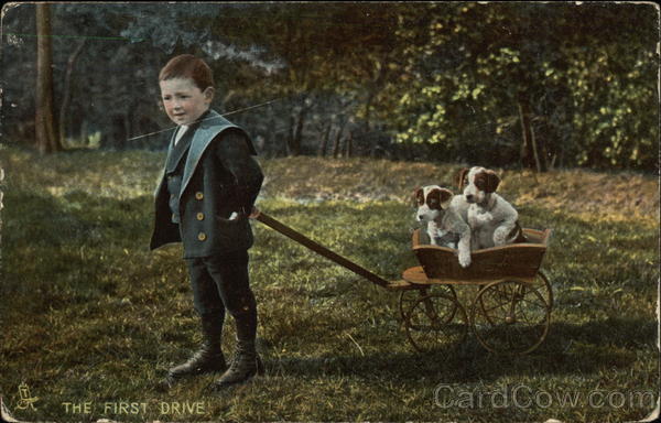 The First Drive Dogs