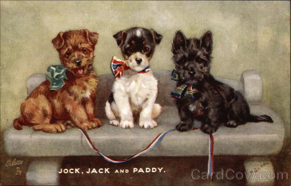 Jock, Jack and Paddy Dogs