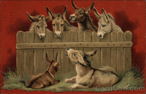 Donkeys looking over Wood Fence