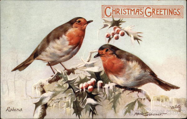 Christmas Greetings with Robins on Holly Branch