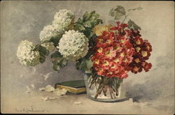 Vase of Red & White Flowers Postcard