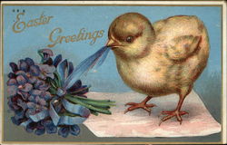 Easter Greetings with Chick & Violets Postcard