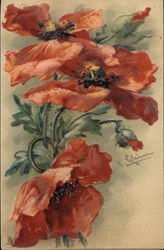 Red Poppies Flowers Postcard Postcard