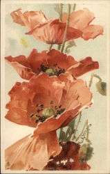 Red Poppies Flowers Postcard Postcard