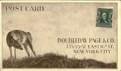 Doubleday Page & Co. Postcard