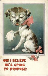 "Oh! I Believe He's Going to Propose" with Dog Dogs Postcard Postcard