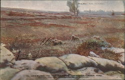 Crawling to the German Trenches Under Fire Postcard