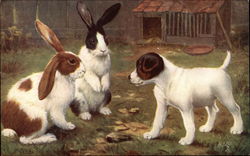 "Among the Bunnies" with Puppy in the Yard Multiple Animals Postcard Postcard