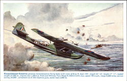 Consolidated Catalina Aircraft Postcard Postcard