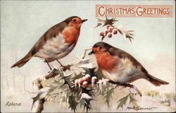 Christmas Greetings with Robins on Holly Branch Postcard