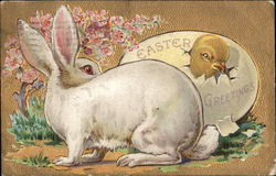 Easter Greetings Postcard