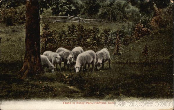 Scene in Keney Park Hartford Connecticut