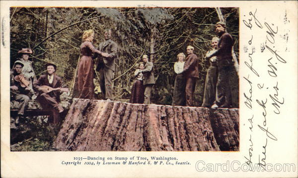 Dancing on Stump of Tree Seattle Washington