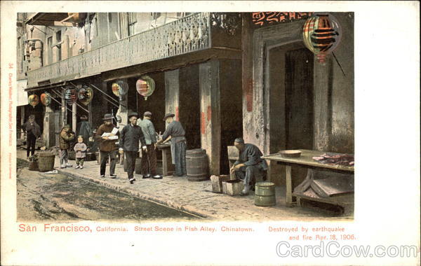 Street Scene in Fish Alley, Chinatown, Destroyed by Earthquake and Fire Apr. 18, 1906 San Francisco California