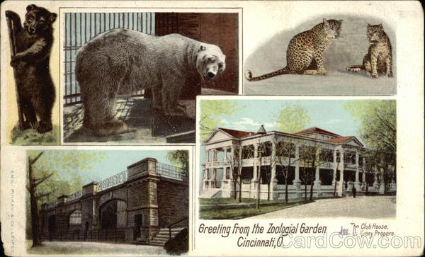 Greeting from Zoological Garden Cincinnati Ohio