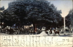 Park Scene Postcard