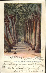 Cocoanut Palm Avenue Cocoanut Palm Avenue