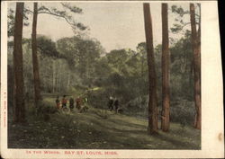 In the Woods, Bay Bay Saint Louis, MS Postcard Postcard