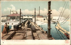 Point Oyster Houses Biloxi, MS Postcard Postcard