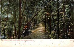 Entrance to Mud Lake, Rockefeller Mundelein, IL Postcard Postcard