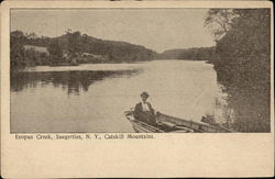 Esopus Creek, Catskill Mountains Postcard