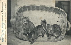 More Than a Basketful at the Northfield Postcard